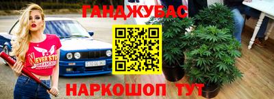 ALPHA PVP Пугачёв